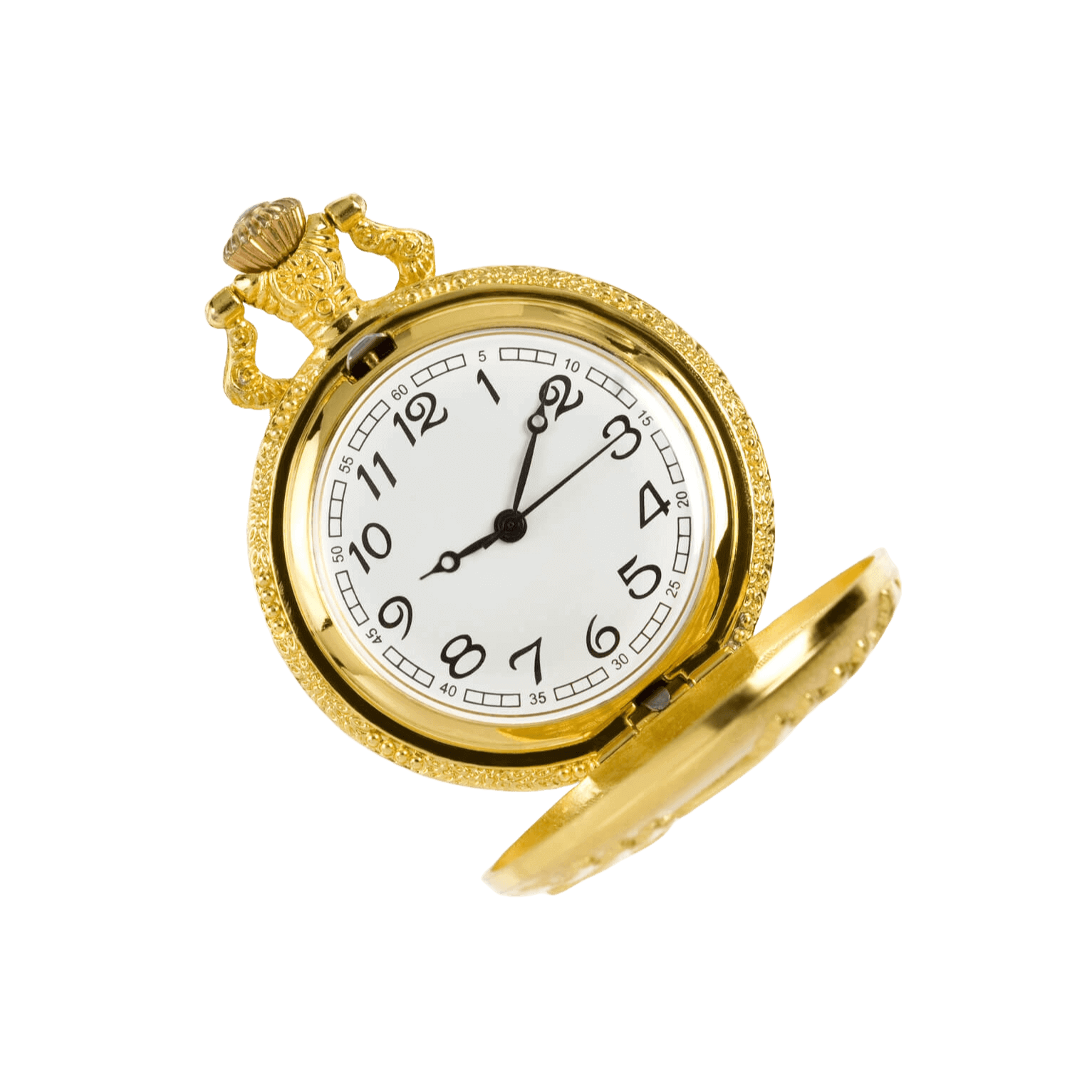 transparent file.png